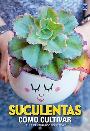 Suculentas – Como Cultivar
